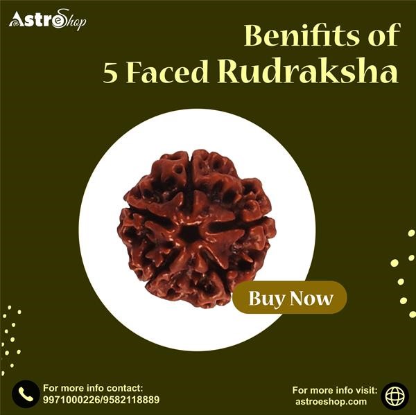 rudraksha