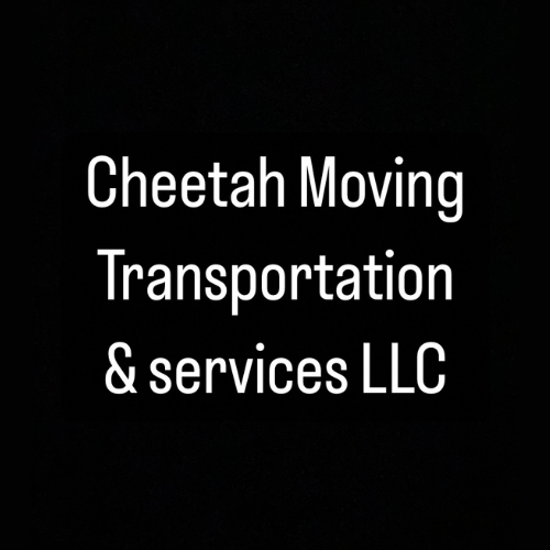cheetah moving transportation