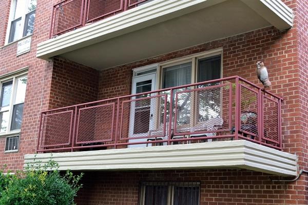 Etobicoke Windows & Doors