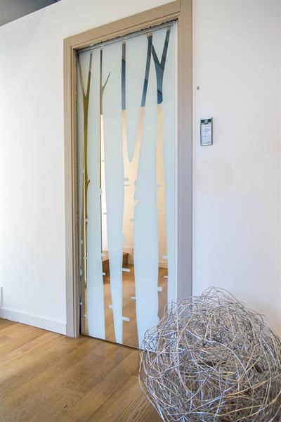 Etobicoke Windows & Doors