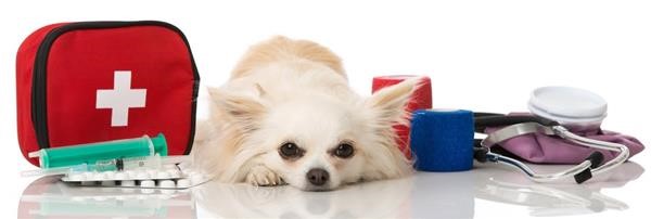 Hudson Animal Hospital