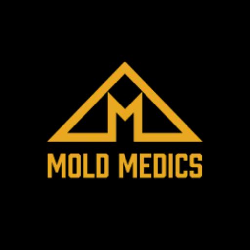 Mold Remediation Company