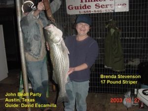 Big Winter Stripers on Lake Texoma