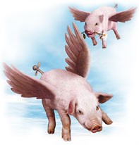 Flying Pigs Sighted over North Texas