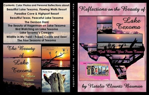 Reflections on the Beauty of Lake Texoma: and the Surrounding Area