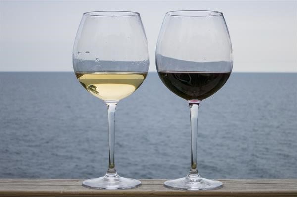 Wine Culture