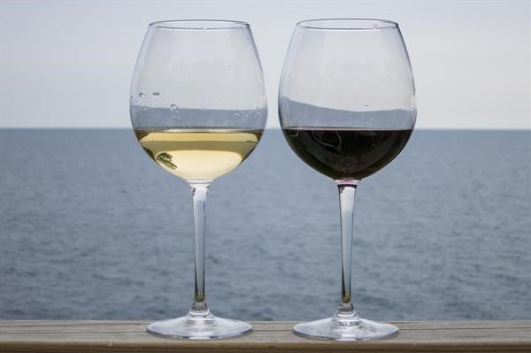 Wine Culture. Expand Your Palate!