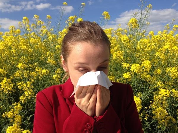 Allergy Capital of the USA