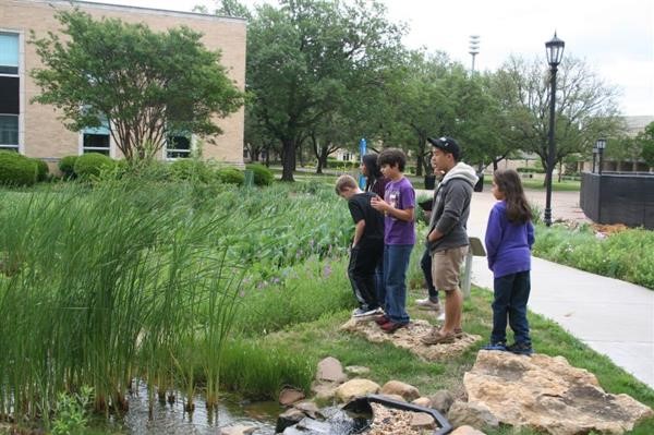 Indigenous Gardens