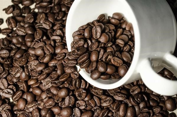 Avolatte