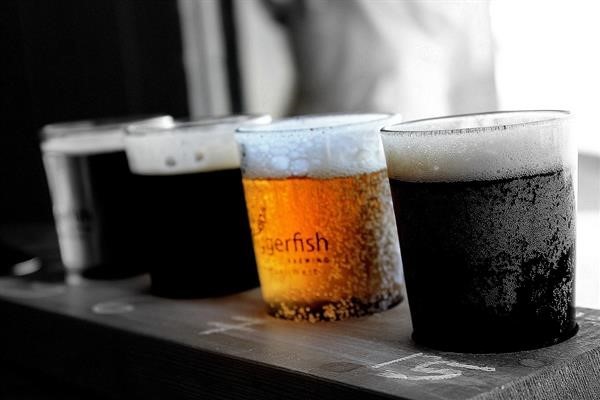 Beer Vs. Ale