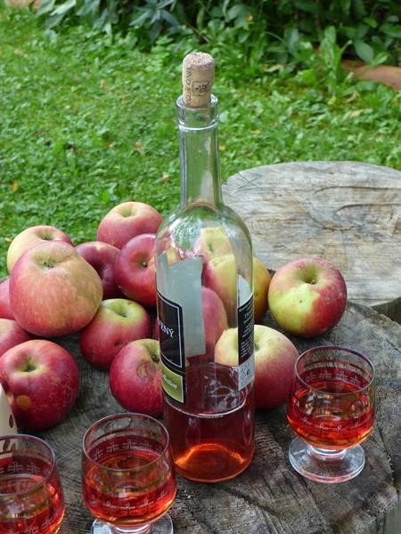 Comparing Apples to Apples