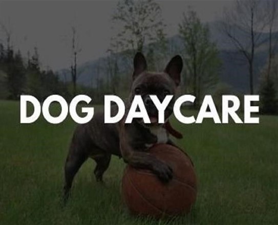 DOG BOARDING