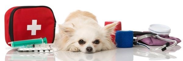 Hudson Animal Hospital