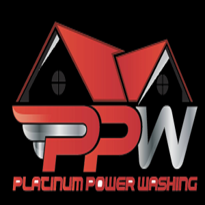 Window Cleaning Service