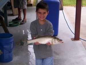 StriperMaster Lake Texoma Striper Fishing Report 9/24/2007