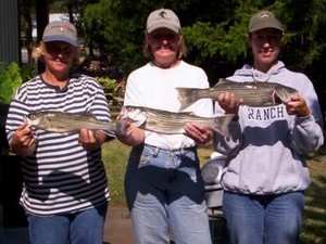 StriperMaster Lake Texoma Striper Fishing Report 10/17/2007