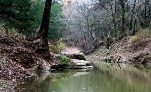 Rick Cantu, March Photographer of Month