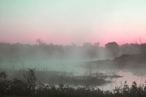 Friends of Hagerman Name Photographer of Month for April