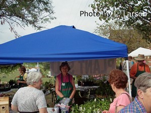 Spring Plant Sale