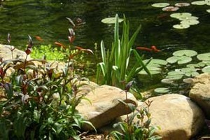 Spring Garden Tour