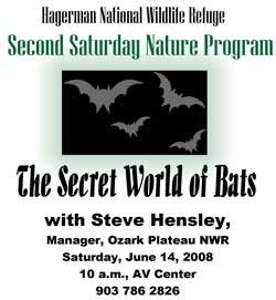 Bat Facts at Second Saturday