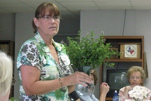 Herbal Tea Lady to be at Sherman Arts Festival