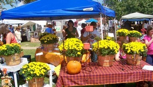 Sherman Arts Festival Gears Up for 2009