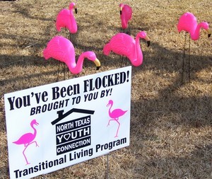 Fly a flock of flamingos to a friend for a good cause