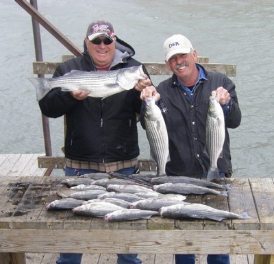 Lake Texoma Fishing Report 3/30/09
