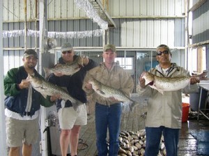 Lake Texoma Fishing Report :: May 14th
