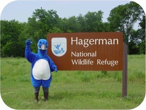 Mother Nature Invites You to Super Saturday at Hagerman NWR