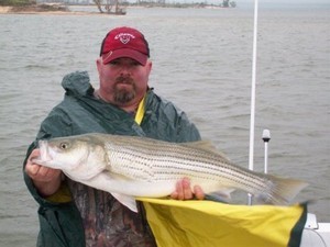 Striper Master Lake Texoma Striper Fishing Report 9/17/2009
