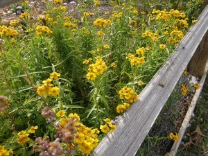 First Annual Refuge Photo Contest