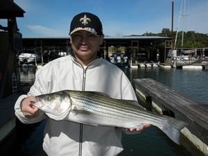 Lake Texoma Fishing Report :: The Fall Bite