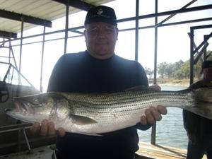Lake Texoma Fishing Report :: Big Fish Turning On!