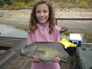 Lake Texoma Fishing Report :: Fall Feeding Frenzy