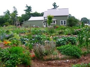Earth Day Festival Provides Educational Workshops